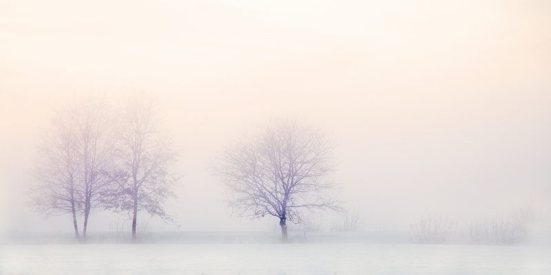 winter-landscape-2571788_1920 winter-landscape-2571788_1920