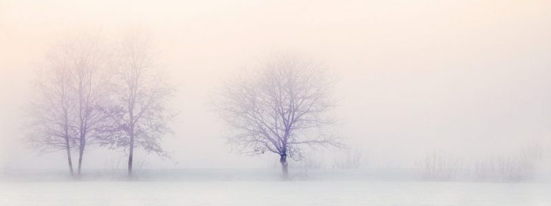 winter-landscape-sm winter-landscape-sm